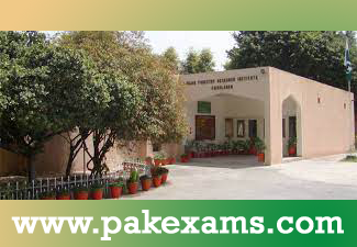 Jobs in Punjab Forest Research Institute