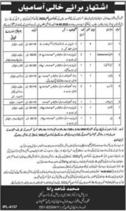 Latest Job in Social Welfare and Bait Ul Mal Department 